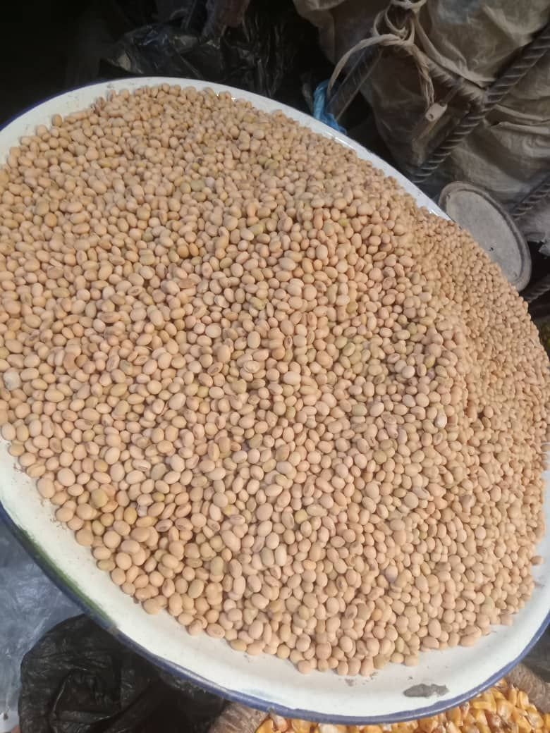 High Quality Non GMO Soybean