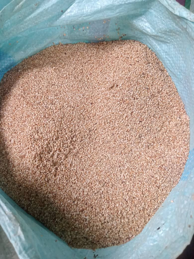 High Quality Naturally Organic Sesame Seeds